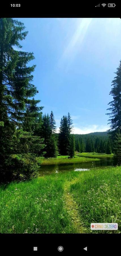 Apartman Jegdic-Zabljak Buitenkant foto